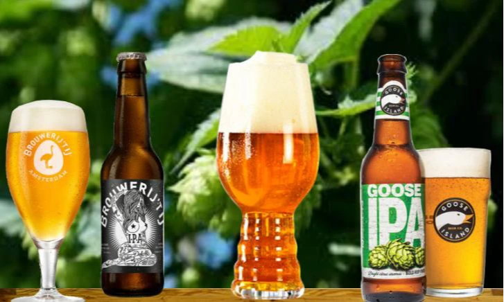 Drie IPA bieren op een rij met een hopplant erachter
